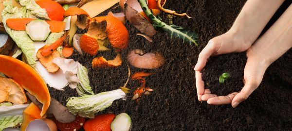 Bulk Compost Delivery