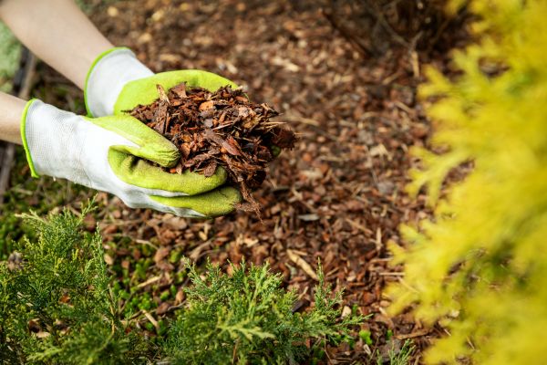 Garden Mulch Delivery - Garden Mulch Delivery Duluth, Minnesota