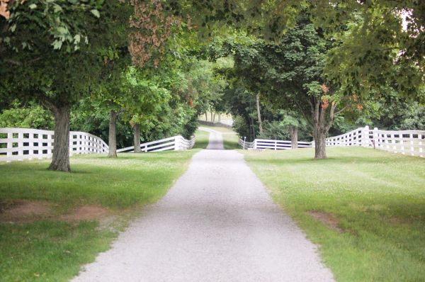 Driveway Rocking - Driveway Rocking Kissimmee, Florida