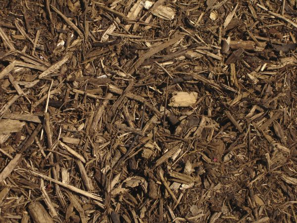 Commercial Compost Delivery